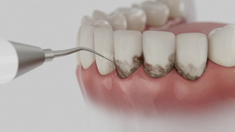 Reliable Dental contractor in San Felipe, TX by Dentist Open Now